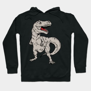 Dinosaur Kid Dinosaur Shirt Hoodie